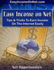 Thumbnail Easy Income on the Net
